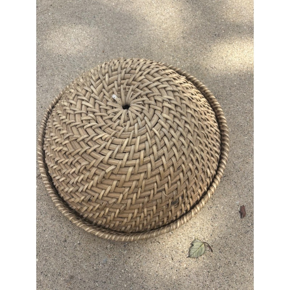 Large Tohono O'odham Basket Papago Bear Grass Yucca Lidded Antique Rare Find